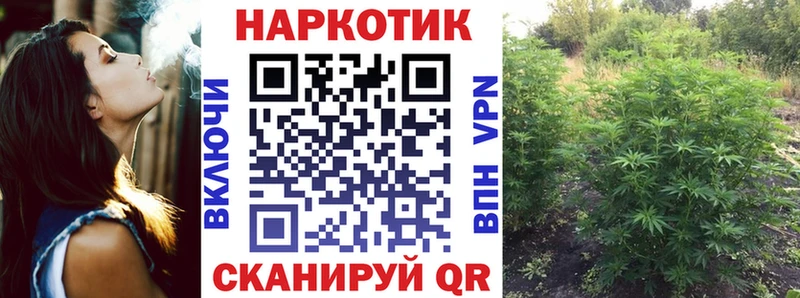 Какие есть наркотики Гаджиево ГАШ  Амфетамин  omg ONION  Канабис  СК  Меф мяу мяу 
