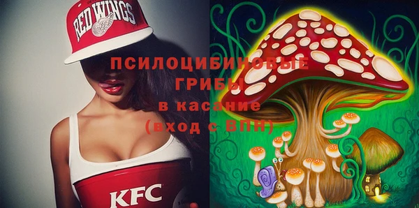 сатива Алзамай