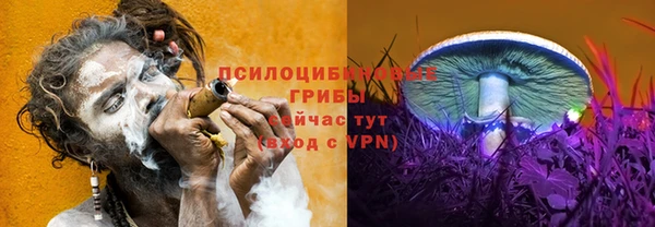 кокаин Алексеевка